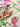 Allegra Rose, 100% Silk, Jacquard, Cream
