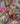 A close-up of Liberty Fabrics featuring a dense, multicolor botanical pattern with pink, orange, teal, and blue flowers on a dark brown background.