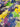 Brush With Flowers, 100% Cotton, Lawn