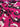 Fuschia Cheetah, 100% Cotton, Sateen