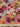 Jolie Flora, Cotton-Silk, Batiste C