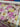 A bolt of floral patterned linen fabric showing a selvedge labelled with the brand 'Ratti'.