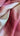 Pink Noise, 100% Silk, Shantung