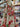 Vintage Vignette 100% Cotton, Lawn