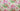 Allegra Rose, 100% Silk, Jacquard, Cream
