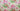 Allegra Rose, 100% Silk, Jacquard, Cream
