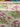 Allegra Rose, 100% Silk, Jacquard, Cream
