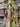 Printed pure cotton fabric with a colourful tropical pattern in pinks, greens, and yellows draped within a shop setting.