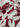 Brise 100% Silk, Crepe de Chine, Red