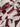 Brise 100% Silk, Crepe de Chine, Red