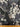 Silk chiffon fabric with a foil printed floral design in champagne, silver and grey on a black base, shown with a ruler at the bottom for scale.