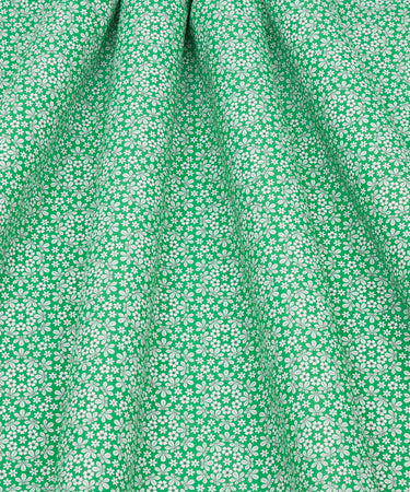 Godwin B, Piccadilly Poplin