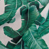 Close-up of a fine printed cotton lawn fabric with green banana leaves on a white background