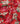 A close-up of draped Liberty Fabrics featuring a red floral pattern with pink blossoms, cream-colored magnolia flowers, and green leaves.