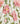 A close-up of a floral fabric print featuring large pink peony flowers and green leaves on a warm off-white background, with the Liberty Fabrics logo in the bottom right corner.