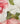 A close-up of Liberty Fabrics featuring a watercolor floral print with pink roses and green leaves on a white background, with the brand logo in the bottom right corner.