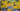Large colourful abstract florals with yellow, green, and blue colours on a textured background.