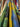 Colourful patterned fabric with green, yellow, and blue colours, draped within a store setting.