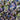 Midnight Garden, Silk-blend Velvet Devoré