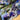 Midnight Garden, Silk-blend Velvet Devoré, Blue