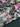 Midnight Garden, Silk-blend Velvet Devoré, Pink