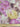 Floral fabric pattern with a ruler at the bottom for scale
