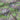 Close-up of fabric with nautical pattern featuring shells and ropes on a green background