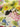 Pastel Poesy 100% Cotton, Lawn