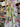 Pastel Poesy 100% Cotton, Lawn