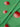 Polka Not Quite 100% Cotton, Lawn, Red