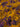 Purple Rain, 100% Cotton, Lawn