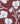 A close-up of Liberty Fabrics floral fabric featuring white pansy flowers and stems printed on a deep burgundy background.