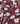A close-up of draped Liberty Fabrics featuring a deep burgundy red satin-like fabric with a white floral print.