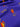 Tango Fervour, 100% Cotton, Sateen, Indigo