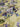 The Whole Blooming Lot A, 100% Cotton, Lawn