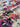 The Whole Blooming Lot C, 100% Cotton, Lawn