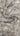 Veluna 100% Silk, Organza with Corded Embroidery