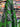 Verde Vibe, 100% Cotton, Sateen