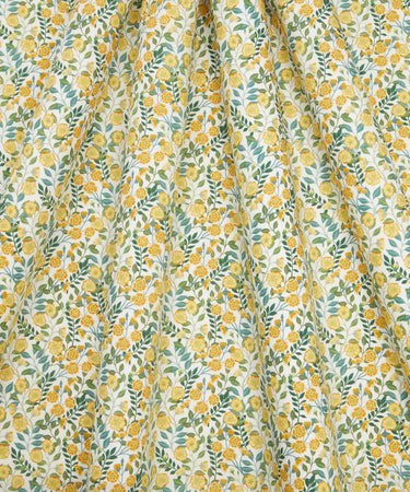 Vigers' Vine A, Piccadilly Poplin