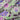 A linen fabric with a bold floral print featuring primarily blue, pink and grey colours on a green background.